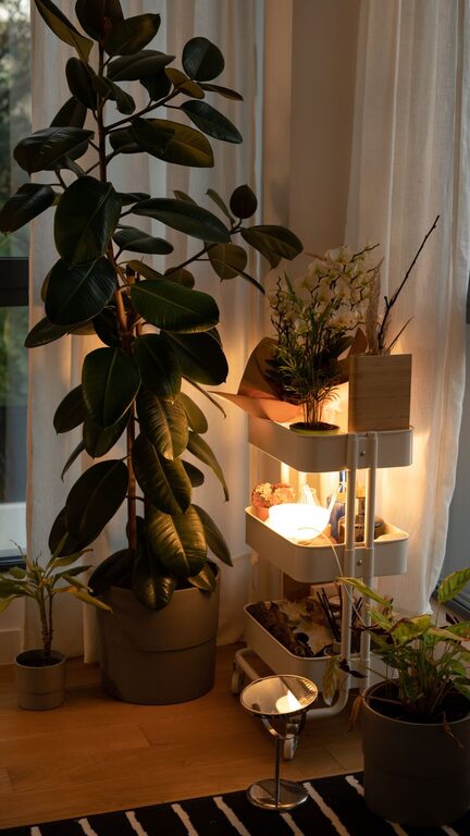 Affordable Self-Care Ideas to Recharge at Home